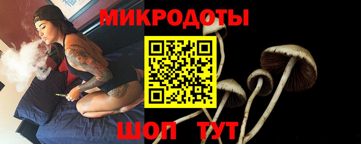Галлюциногенные грибы Psilocybine cubensis Миллерово